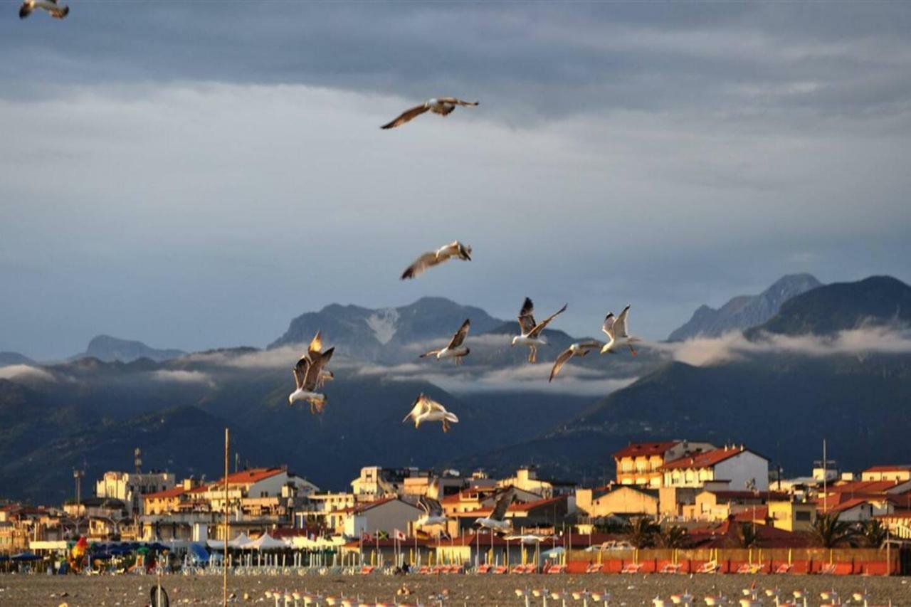 Altido Apt For 8 With Huge Terrace In Old Town Of Viareggio Exterior foto